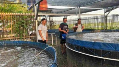 Gubernur Kalsel Tinjau Peternakan Ikan Air Tawar Bioflok