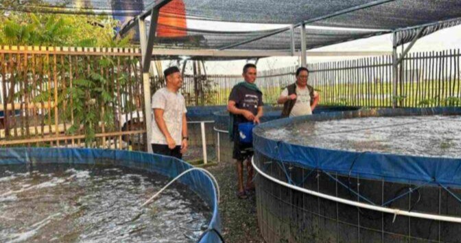 Gubernur Kalsel Tinjau Peternakan Ikan Air Tawar Bioflok