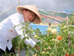 Pj Wali Kota Tanjungpinang Kembali Gesa Gerakan Menanam Hortikultura