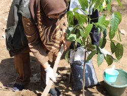 Peringati Hari Menanam Pohon, Komitmen PLN UIT JBB Lestarikan Lingkungan