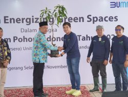 Hari Menanam Pohon Indonesia, PLN UIT JBB Gelar Program Energizing Green Space