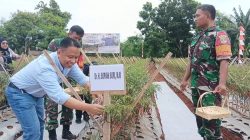 Ikut Panen Cabai, Supian Suri Ingin Jadikan Depok Kota Mandiri Pangan