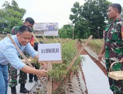 Ikut Panen Cabai, Supian Suri Ingin Jadikan Depok Kota Mandiri Pangan