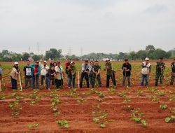 Wartawan Depok Dukung Program Ketahanan Pangan Kodim 0508/Depok