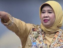 Peredaran Barang Bekas Impor Kembali Marak DPR Ingatkan Bea Cukai