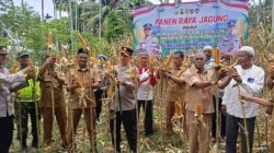Kapolres Pidie Jay Panen Raya Jagung di Gampong Beurawang