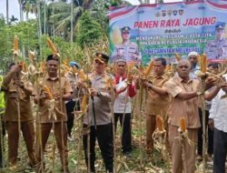 Kapolres Pidie Jay Panen Raya Jagung di Gampong Beurawang