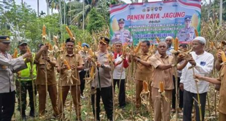 Kapolres Pidie Jay Panen Raya Jagung di Gampong Beurawang