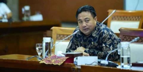 Anggota DPR RI Nyoman Parta (foto: berbua)