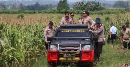 Kapolda Kalbar Tinjau Lahan Jagung & Pembangunan Pabrik Pangan Merah Putih