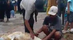 Rayakan Idul Adha 1446 H, Warga Blok Rambutan Cipayung Sembelih 7 Ekor Sapi & 4 Kambing