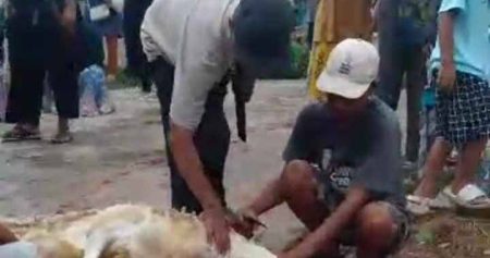 Rayakan Idul Adha 1446 H, Warga Blok Rambutan Cipayung Sembelih 7 Ekor Sapi & 4 Kambing