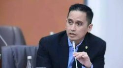 Firnando Ganinduto Tekankan Pentingnya Sinergi antara Danantara dengan Kementerian & BUMN