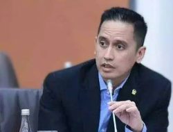 Firnando Ganinduto Tekankan Pentingnya Sinergi antara Danantara dengan Kementerian & BUMN