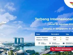 Pelita Air Akan Luncurkan Rute Internasional Perdana