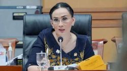 RUU Pengelolaan Ruang Udara, Wakil Ketua Pansus Tegaskan Kedaulatan & Perkuat Keamanan Nasional