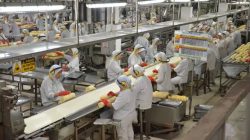 BPS Catat Industri Pengolahan Penopang Utama Perekonomian Kota Depok
