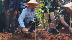 Wali Kota Depok Ajak Masyarakat Tanam Cabai di Rumah
