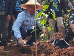 Wali Kota Depok Ajak Masyarakat Tanam Cabai di Rumah