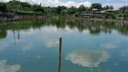 Kelurahan Cisalak Tutup Akses Pembuangan Kotoran Ternak di Situ Gadog