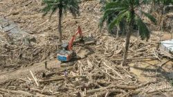 Dittipidter Bareskrim Polri Temukan Objek Pidana Pembalakan Liar Sumut di DAS Garoga & Anggoli