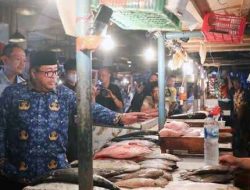 Wagub Jakarta Pastikan Bahan Pangan Tercukupi Hingga Januari