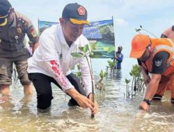 Cegah Abrasi, Bupati Kepulauan Seribu Tanam Bibit Mangrove di Pantai Bintang