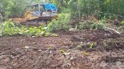 Jelang Munas, SWI Tanam 50 Hektar Tanaman Tebu di Desa Caruban